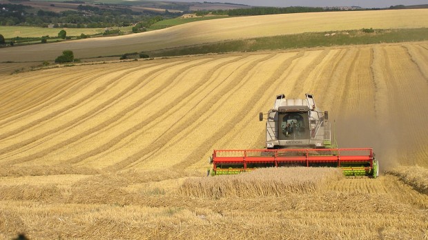 Klimaplanen: Landbruget betaler, forbrugerne går fri – og samfundsøkonomien forbedres