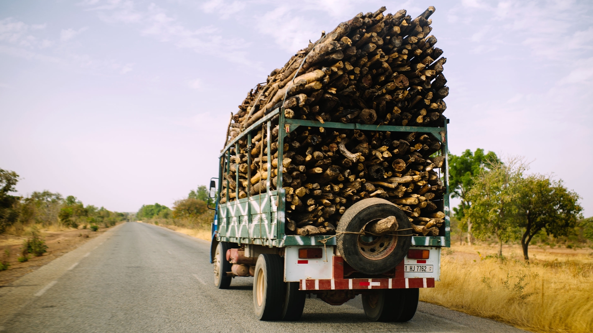 COP 19: Tropiske skove er et kontroversielt emne