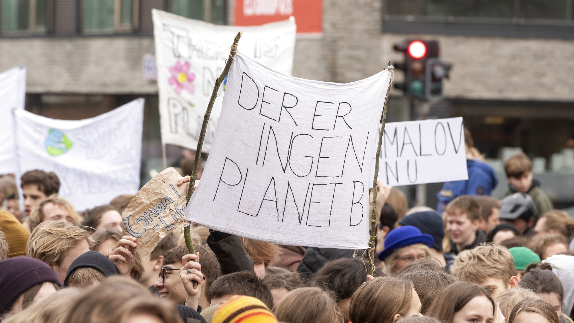 Frederik Nilausen Dam: En politisk glorificeret klimabevægelse lader frygt og følelser styre dagsordenen