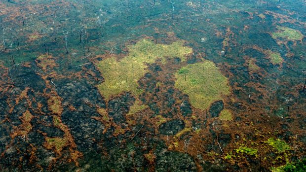 Oscar Juul: EU’s kommende frihandelsaftale med bl.a. Brasilien vil øge nedfældningen af Amazonas. Det er en hån mod klimakampen