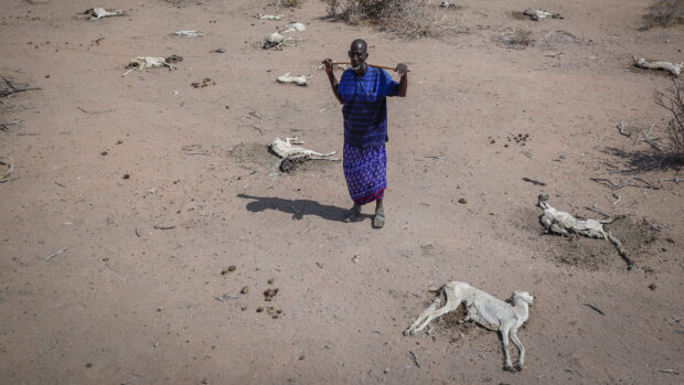 Trine Pertou Mach om sultkrisen på Afrikas Horn: Det er de rige landes ansvar, at katastrofen ikke eskalerer