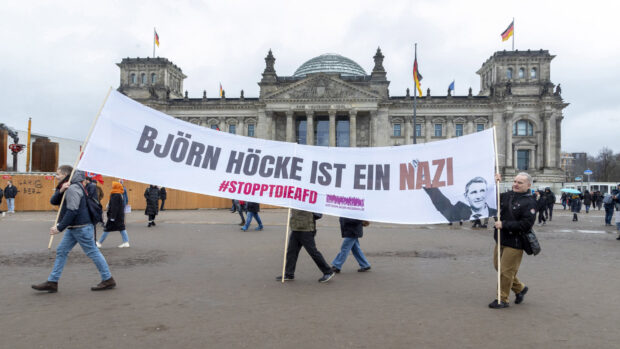 Juliana Talg i Interviewserien: Tyskland kan godt juridisk forbyde AfD som parti – men politisk er det kompliceret