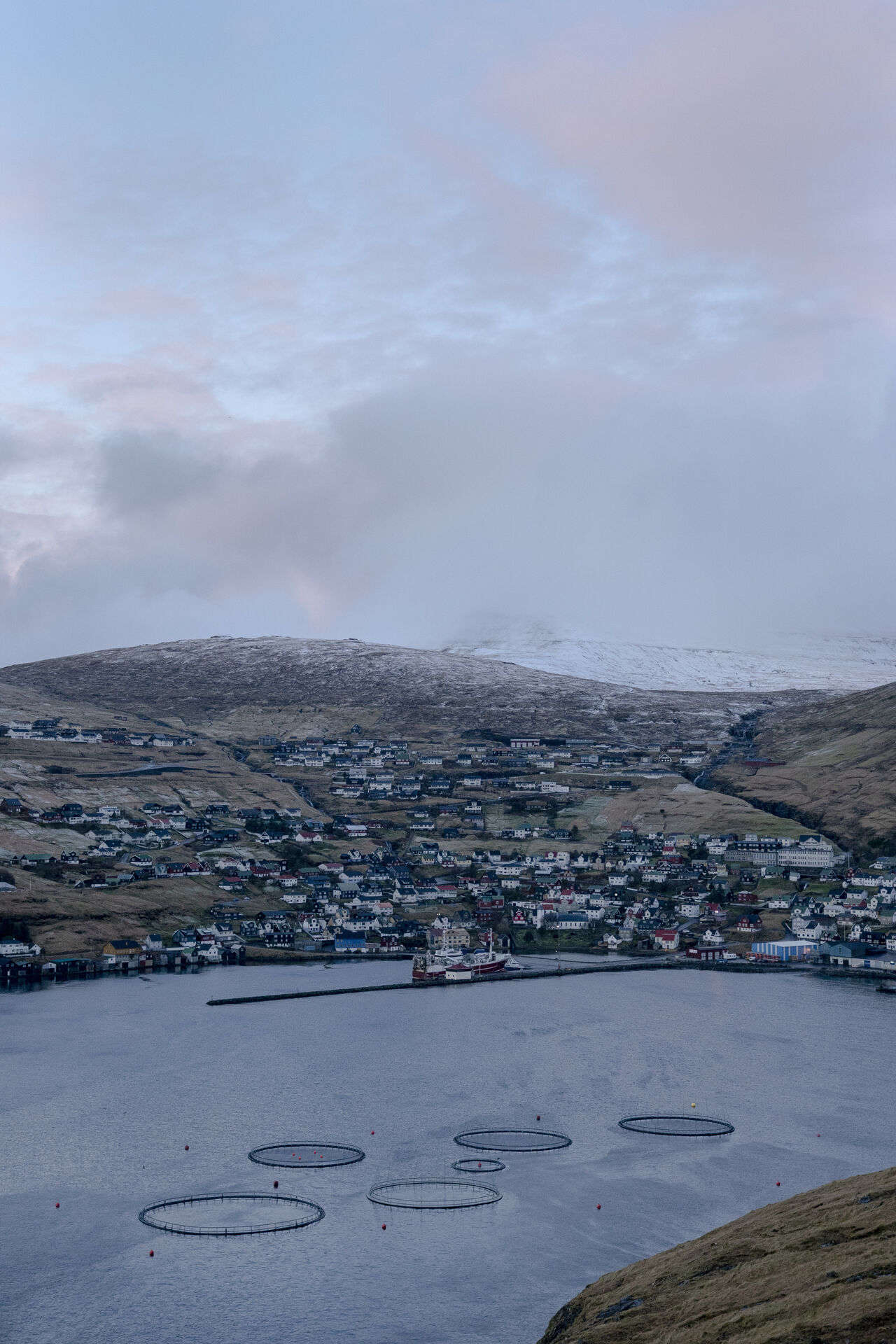 Liselotte Odgaard i RÆSONs trykte nummer: Fra Færøerne til Salomonøerne – derfor intervenerer USA i udkanten af det amerikanske alliancesystem