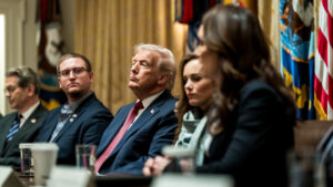 Kristoffer Storm (MEP, DD): Danmark må sige fra – også overfor store allierede. Grønland er hverken til salg – eller til forhandling